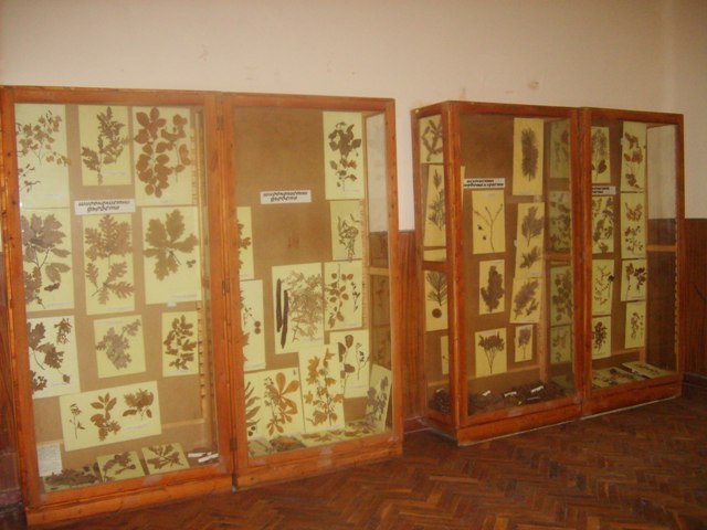 12im2